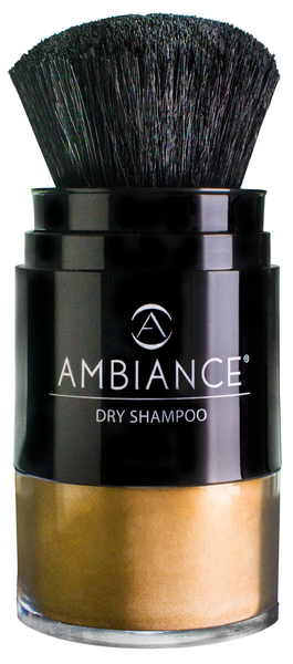 Ambiance Dry Shampoo- Blonde Brush & Refill Combo