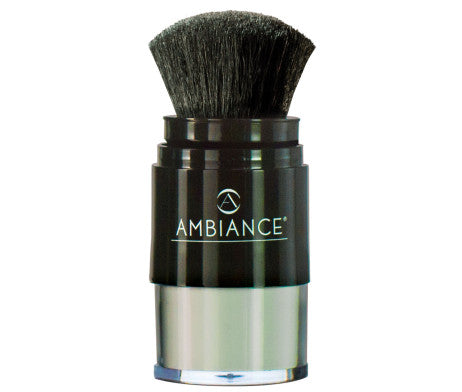 Ambiance Dry Shampoo- No Tint Brush & Refill Combo